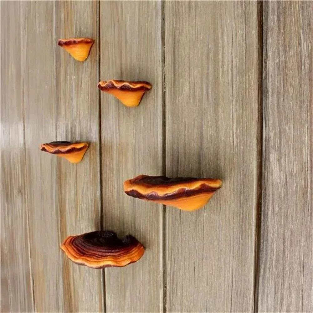 Set of 5 Mushroom Wall Shelves Small Floating Resin Shelves for Home Decor